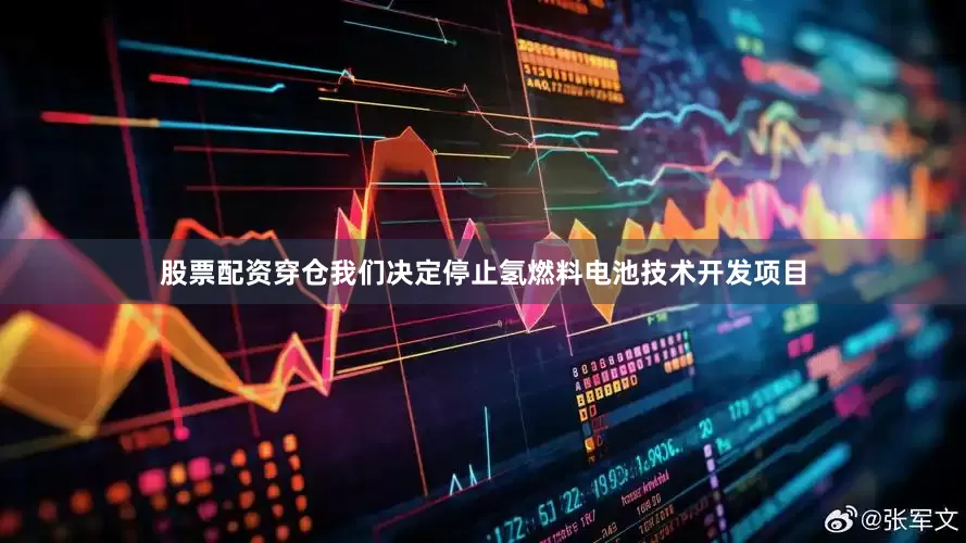 股票配资穿仓我们决定停止氢燃料电池技术开发项目